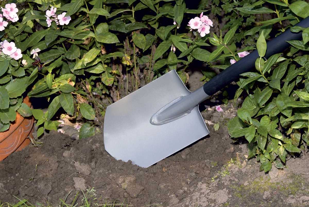 Лопата для сада и сельского хозяйства: как выбрать и использовать