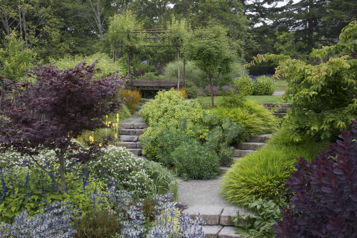 Декоративные садовые растения: идеи для оформления участка