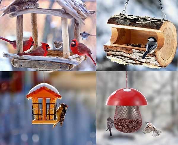 Как создать райское место для птиц в вашем саду: выбор удобных и декоративных кормушек и гнездовий.
