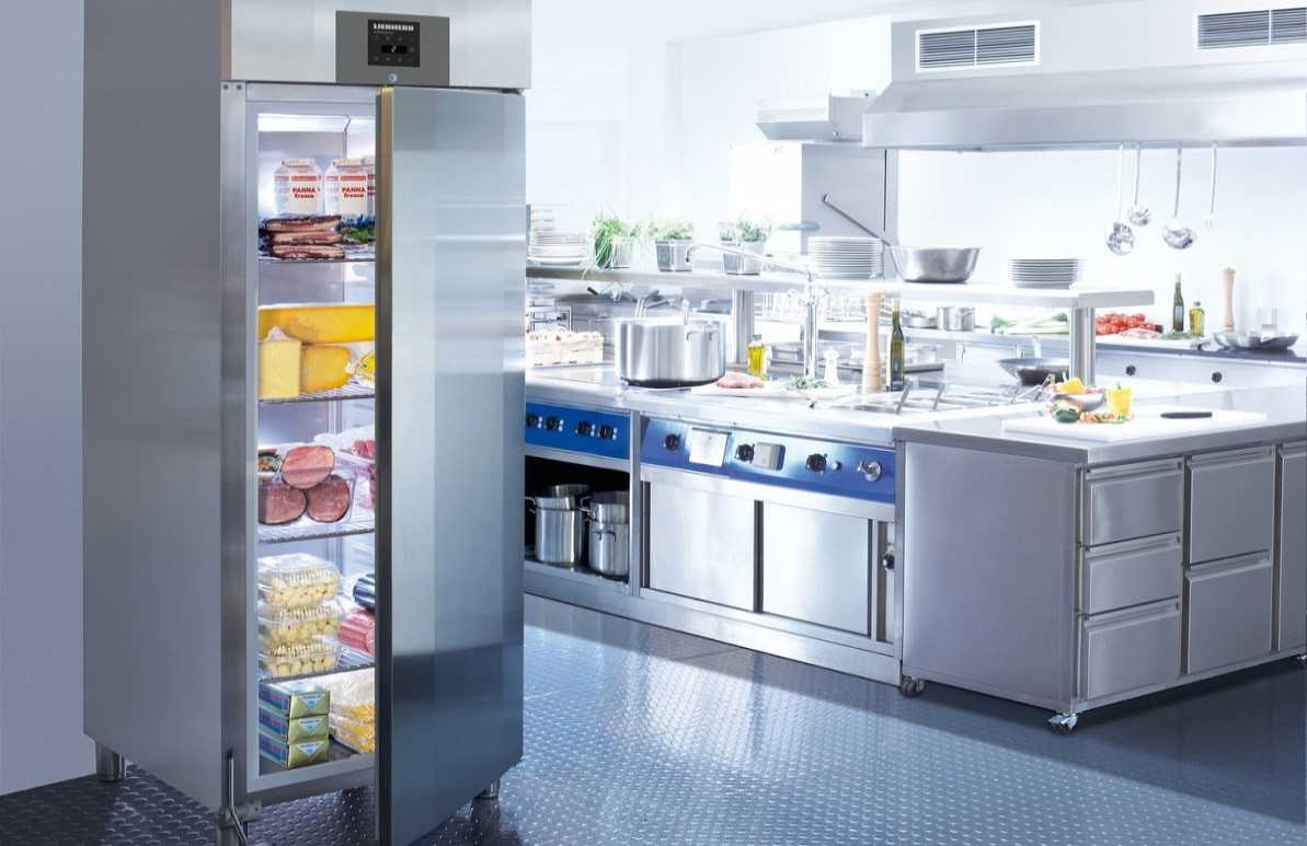 Особенности использования промышленных холодильников в ресторанном бизнесе