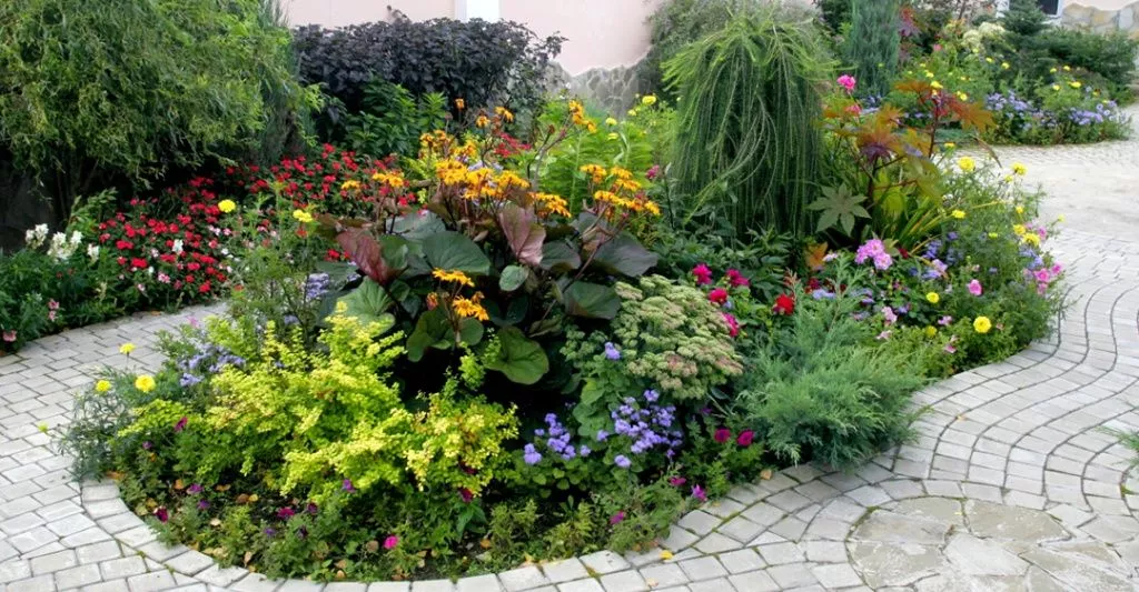 Подбираем растения для садовых грядок: советы ландшафтного дизайнера