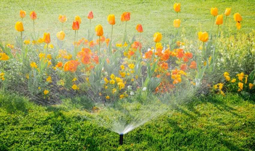 Правильная организация полива в саду: выбор оборудования и правила ухода за растениями.