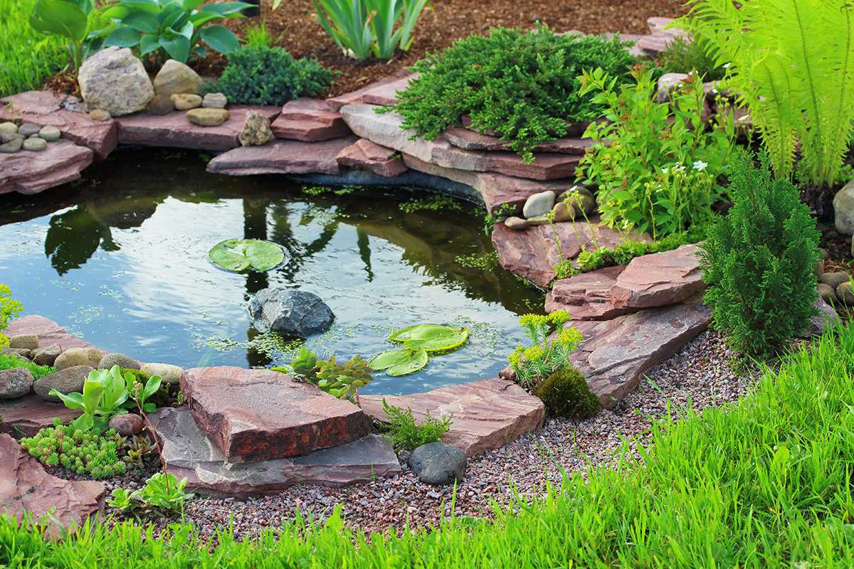 Преобразуйте свой сад с помощью садовых прудов