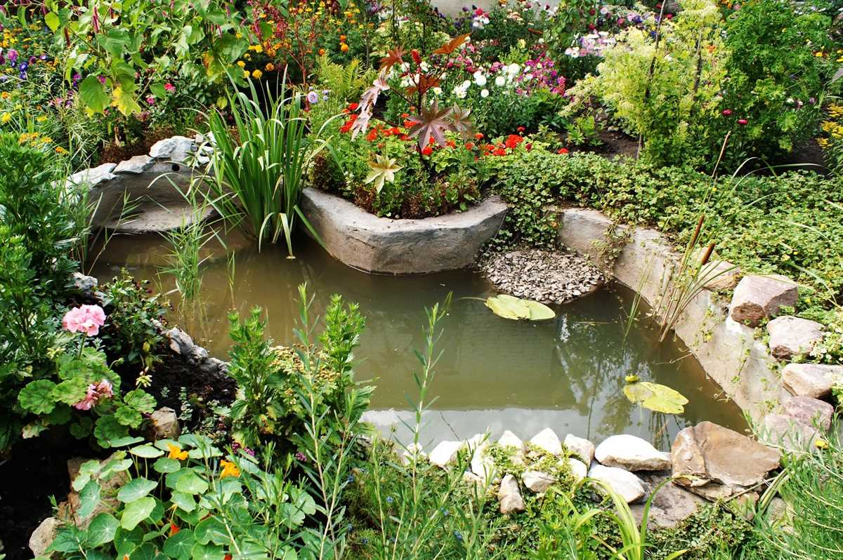 Создание красивых садовых водоемов: выбор и уход за разными видами.