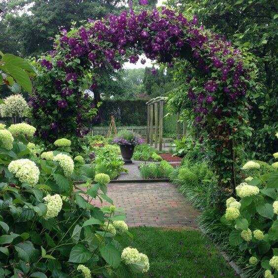 Великолепная арка из роз для вашего сада: выбор лучших сортов и секреты ухода.